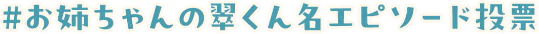 #お姉ちゃんの翠くん名エピソード投票