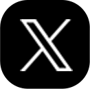 公式X
